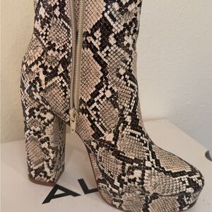 Model Sayan snake  print ankle boots new never used